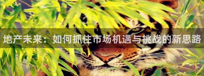 新宝5娱乐注
