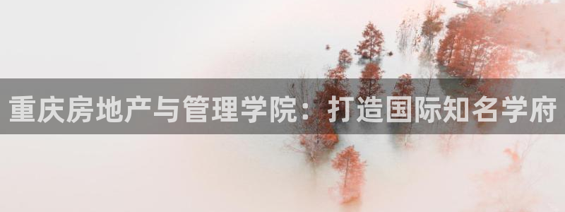 新宝5登陆地址
