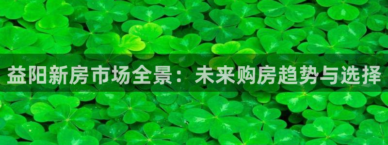新宝5登录平台：益阳新房市场全景：未来购房趋势与选择