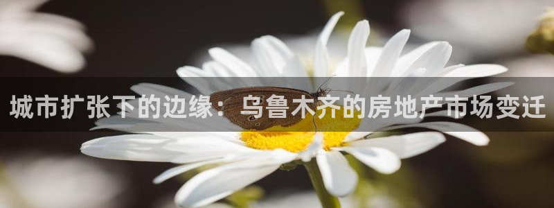 新宝5侹刔：城市扩张下的边缘：乌鲁木齐的房地产市场变迁
