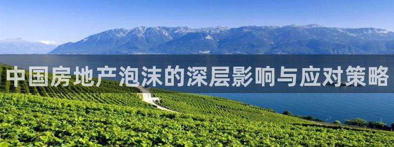 新宝5娱乐同：中国房地产泡沫的深层影响与应对策略