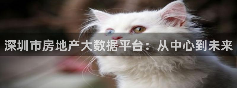 新宝5秒开