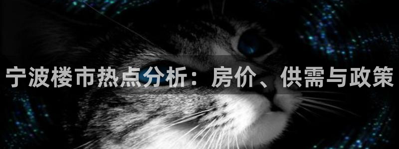 新宝5是谁的：宁波楼市热点分析：房价、供需与政策