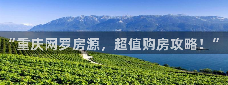 下载新宝5：“重庆网罗房源，超值购房攻略！”