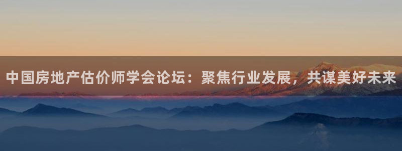 新宝5测速平台登录：中国房地产估价师学会论坛：聚焦行业发展，