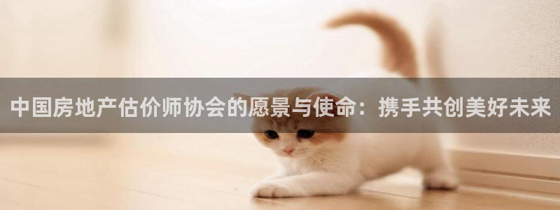 菲律宾新宝5老板：中国房地产估价师协会的愿景与使命：携手共创