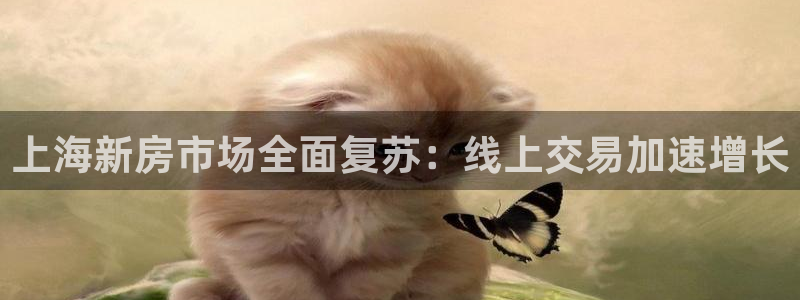 新宝5登录界面：上海新房市场全面复苏：线上交易加速增长