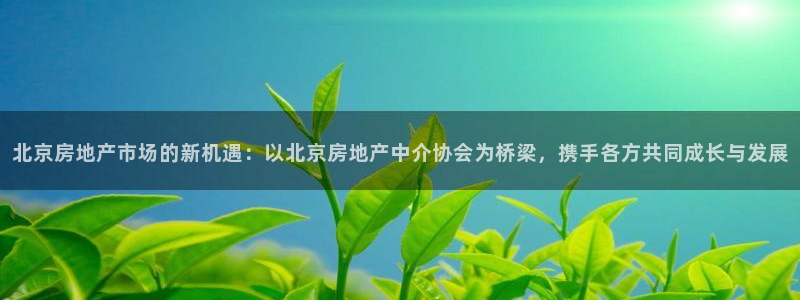 新宝5下载网址：北京房地产市场的新机遇：以北京房地产中介协会