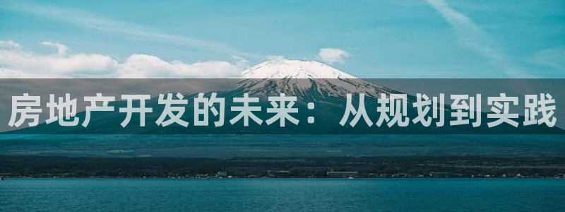 新宝5秒开：房地产开发的未来：从规划到实践