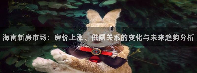 新宝5内部：海南新房市场：房价上涨、供需关系的变化与未来趋势