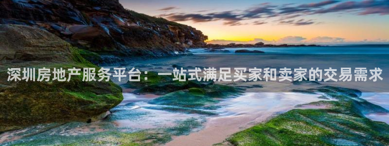 新宝5注册测速登录：深圳房地产服务平台：一站式满足买家和卖家