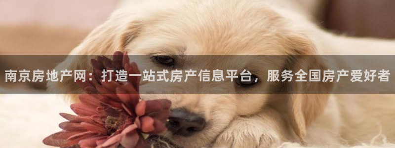 新宝5平台霸：南京房地产网：打造一站式房产信息平台，服务全国