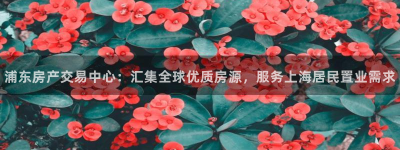 新宝5新宝6顺达：浦东房产交易中心：汇集全球优质房源，服务上