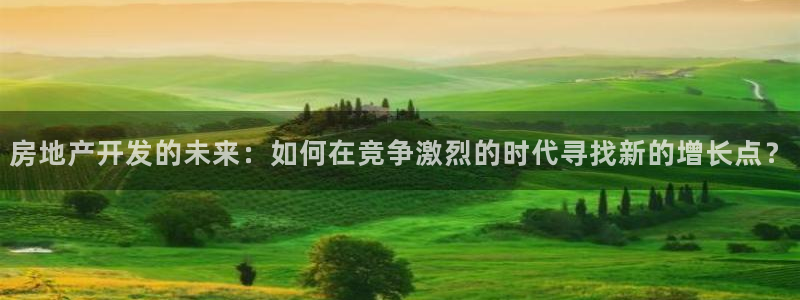 新宝5主管：房地产开发的未来：如何在竞争激烈的时代寻找新的增