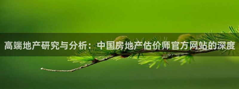 新宝rm5：高端地产研究与分析：中国房地产估价师官方网站的深