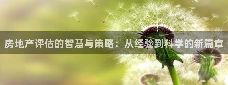 新宝5娱乐平台：房地产评估的智慧与策略：从经验到科学的新篇章