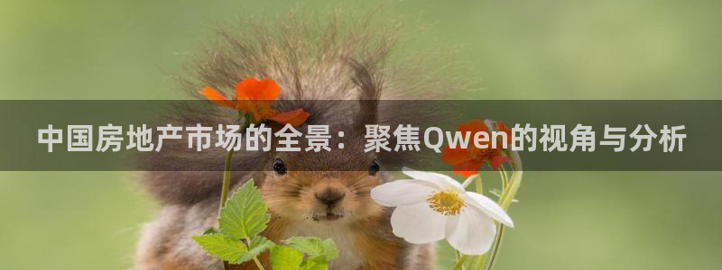 新宝5后：中国房地产市场的全景：聚焦Qwen的视角与分析