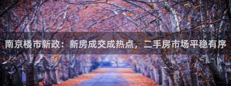 新宝5寻33 300球：南京楼市新政：新房成交成热点，二手房