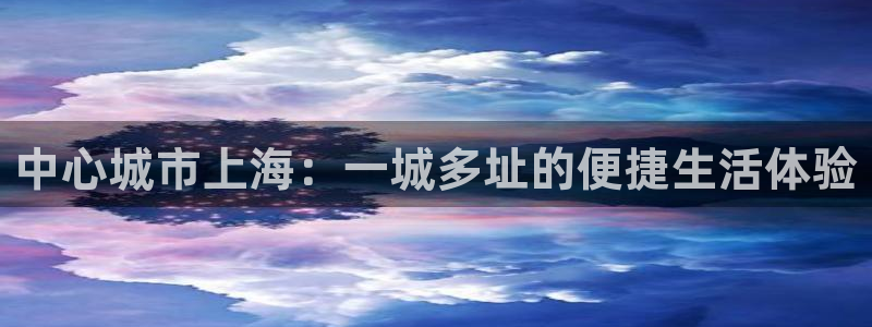 新宝6霸哥5：中心城市上海：一城多址的便捷生活体验