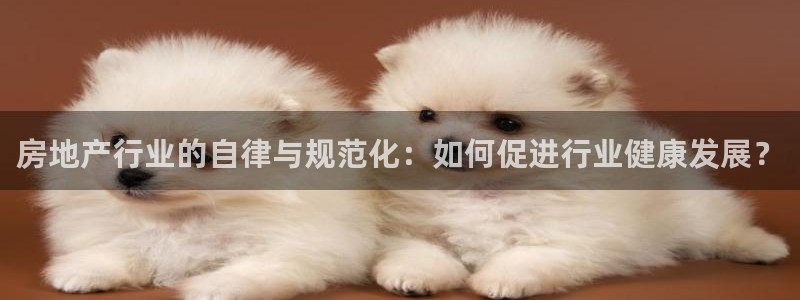 新宝5登录：房地产行业的自律与规范化：如何促进行业健康发展？