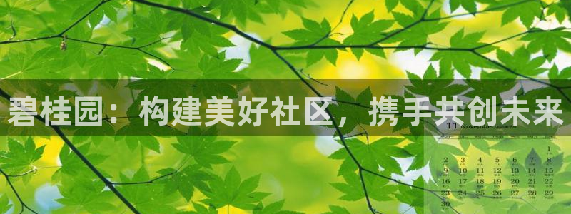 菲律宾新宝5老板：碧桂园：构建美好社区，携手共创未来