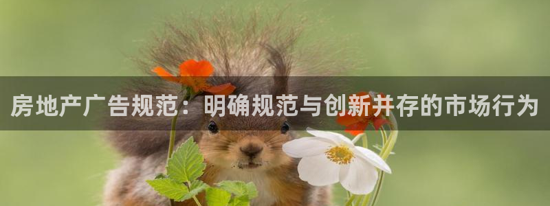 新宝5app手机下载：房地产广告规范：明确规范与创新并存的市