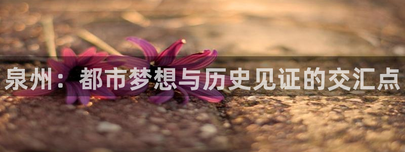 新宝5导师：泉州：都市梦想与历史见证的交汇点