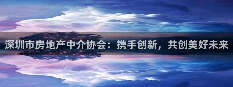 新宝5上70 667：深圳市房地产中介协会：携手创新，共创美
