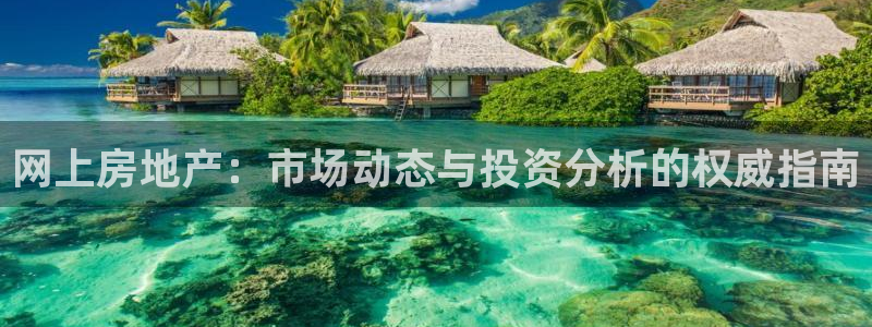 新宝5公司：网上房地产：市场动态与投资分析的权威指南