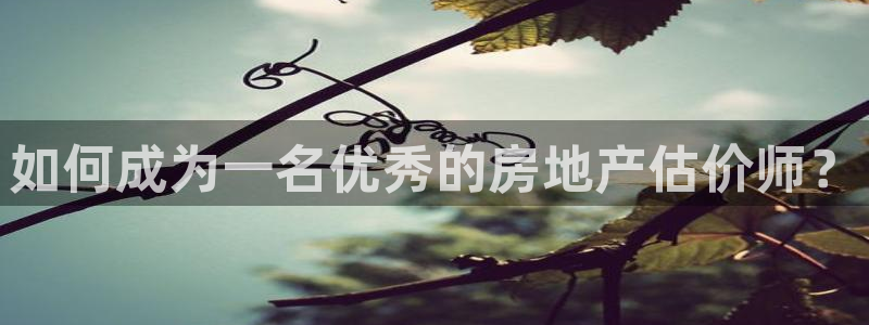 新宝5线路：如何成为一名优秀的房地产估价师？