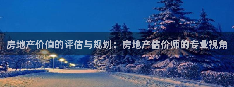 新宝5招商：房地产价值的评估与规划：房地产估价师的专业视角