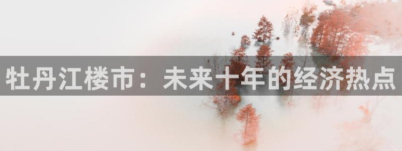 新宝5 代理：牡丹江楼市：未来十年的经济热点