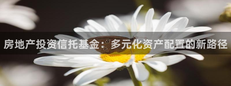 新宝5平台注册公司：房地产投资信托基金：多元化资产配置的新路