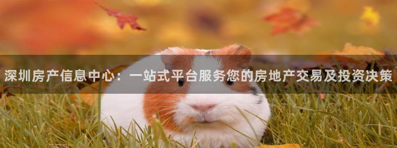新宝5褚32OO59：深圳房产信息中心：一站式平台服务您的房