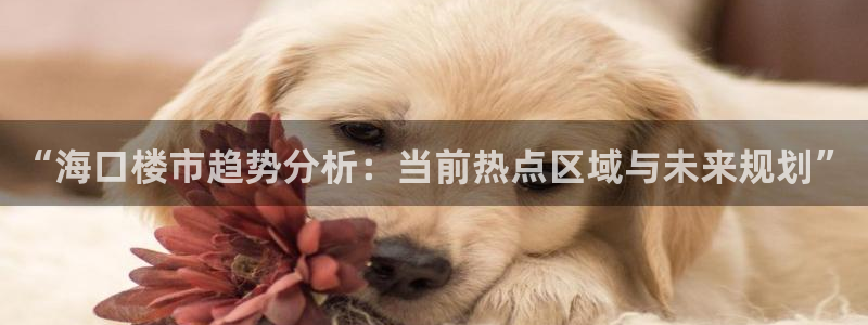 新宝5授权：“海口楼市趋势分析：当前热点区域与未来规划”