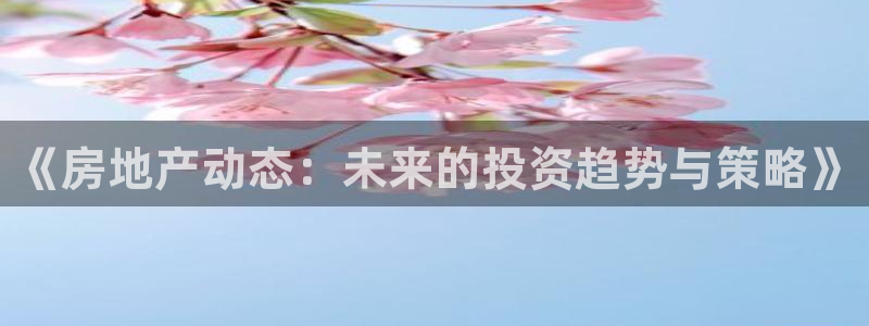 新宝5平台注册资金：《房地产动态：未来的投资趋势与策略》