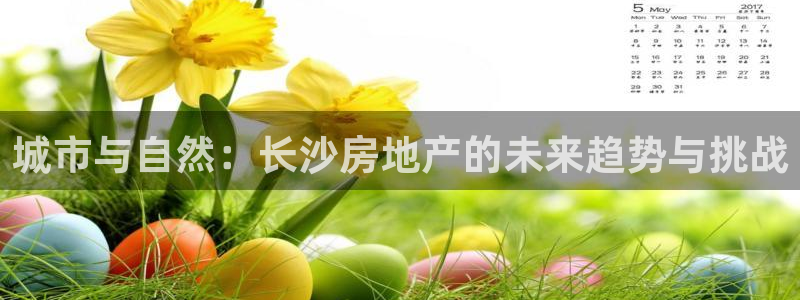 新宝奇迹GG5：城市与自然：长沙房地产的未来趋势与挑战