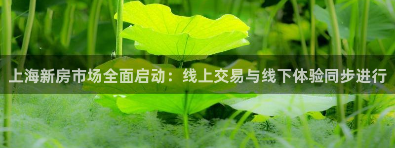 新宝5平台登录下载软件：上海新房市场全面启动：线上交易与线下