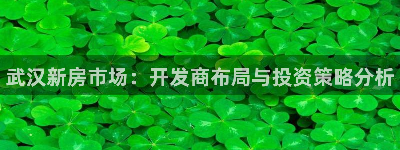 新宝5招商222111：武汉新房市场：开发商布局与投资策略分
