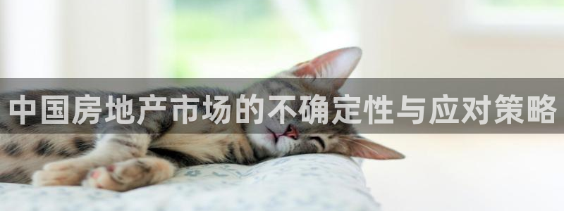 新宝5平台登录下载软件：中国房地产市场的不确定性与应对策略