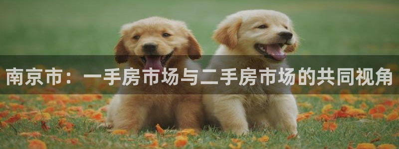 新宝5手机版登录：南京市：一手房市场与二手房市场的共同视角