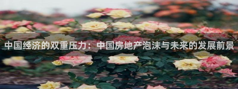 新宝5软件下载：中国经济的双重压力：中国房地产泡沫与未来的发