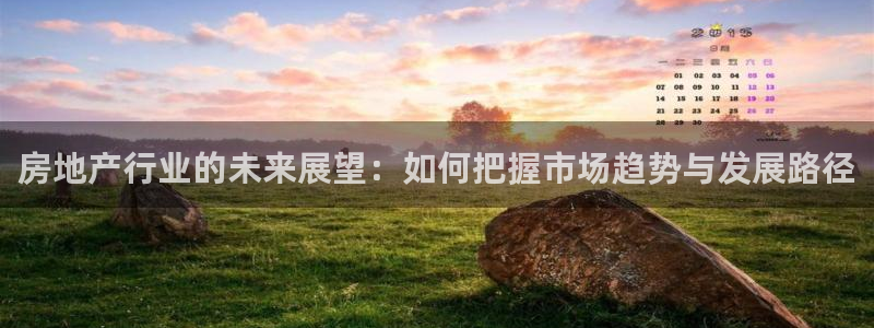 新宝股东瞧听2 5 5：房地产行业的未来展望：如何把握市场趋