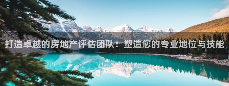 新宝5电脑登录网址：打造卓越的房地产评估团队：塑造您的专业地