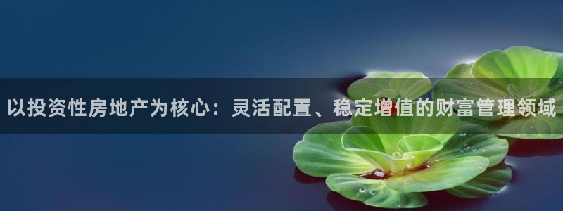 新宝股东张听2 5 5：以投资性房地产为核心：灵活配置、稳定