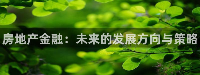新宝5彩票是正规平台吗：房地产金融：未来的发展方向与策略