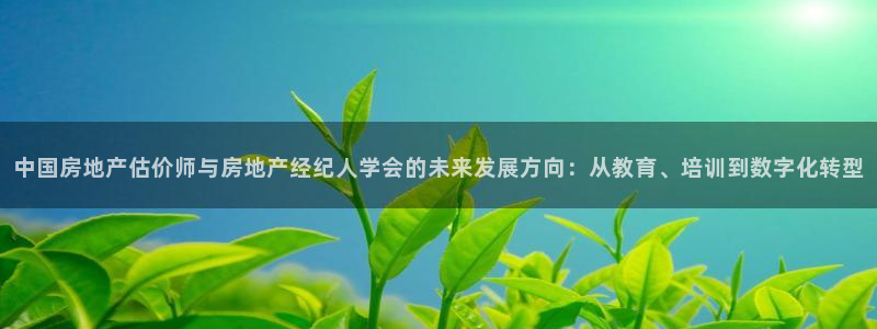 新宝5下载到桌面：中国房地产估价师与房地产经纪人学会的未来发