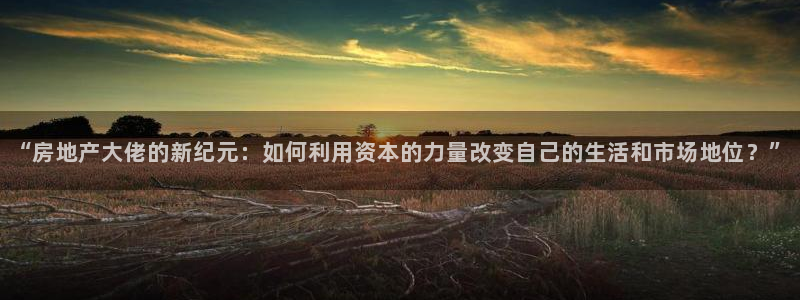 新宝5开户：“房地产大佬的新纪元：如何利用资本的力量改变自己