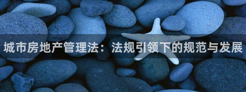 新宝5线路登录检测：城市房地产管理法：法规引领下的规范与发展