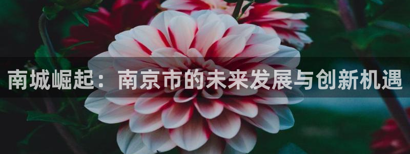 新宝5下载注册：南城崛起：南京市的未来发展与创新机遇